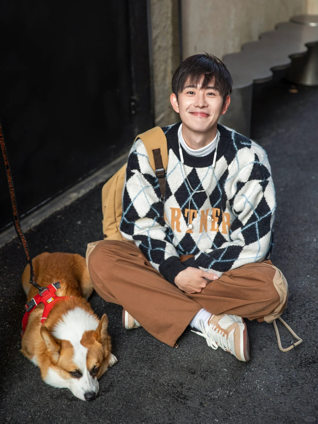🐶🍂…小狗日记！✨