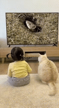 不得不说这只猫很敬业～