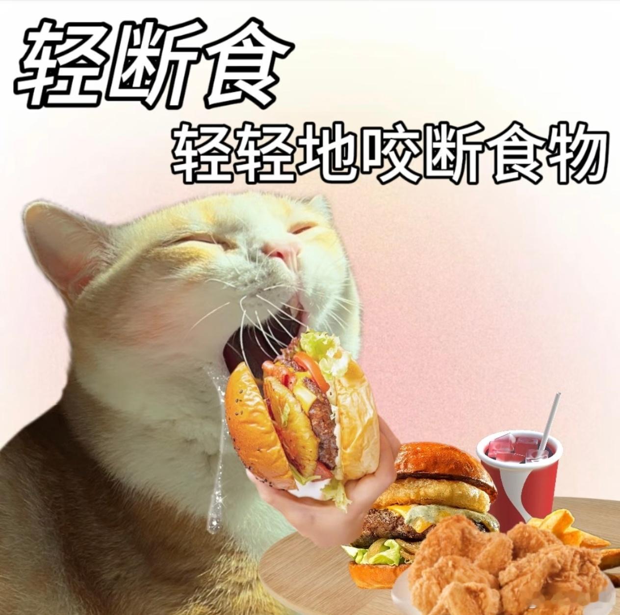 快乐干饭时间！宝子们晚上吃的什么？