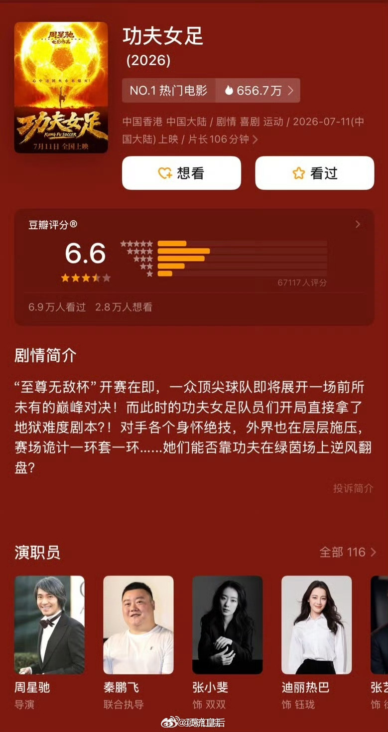 功夫女足豆瓣开分6.6 