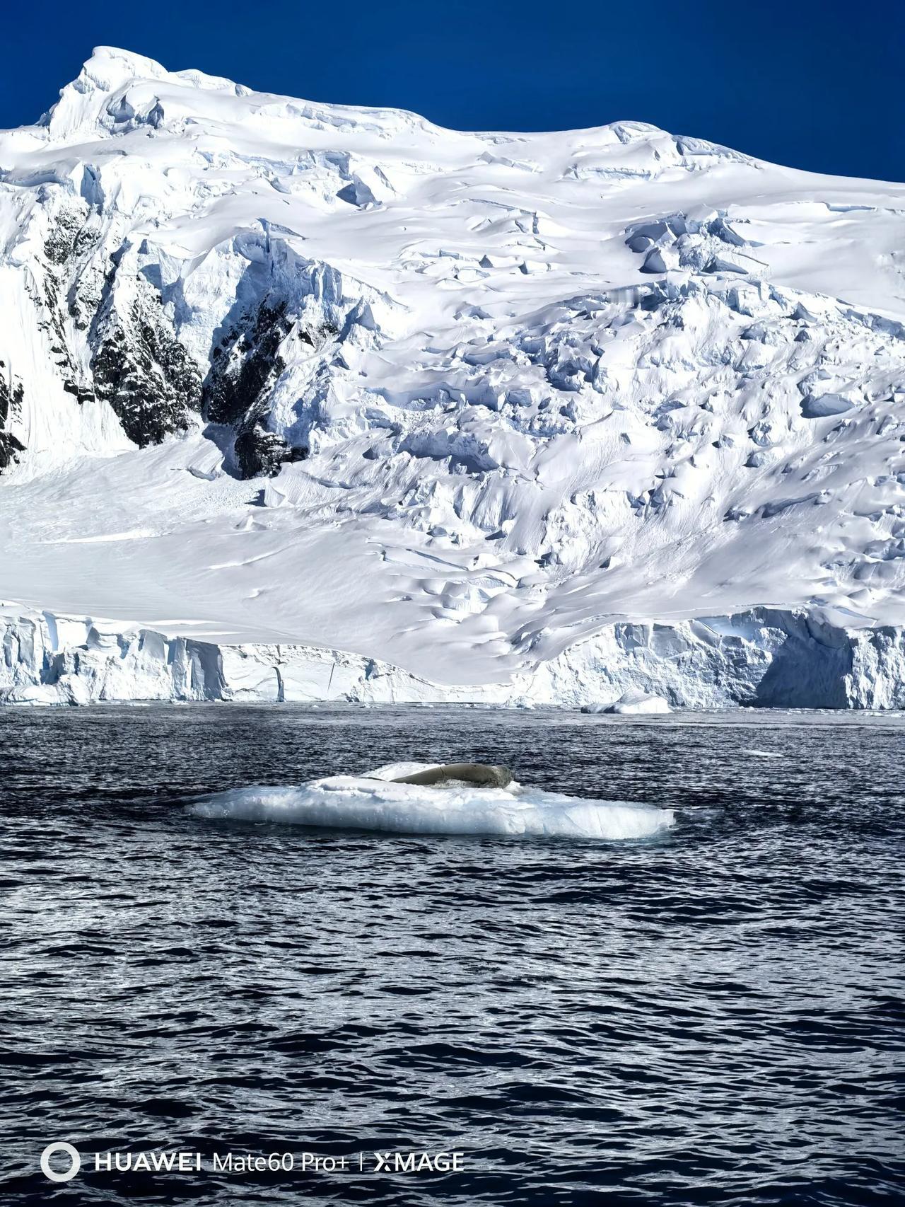 你多久没有去旅行我是2020-2023四年没有出国旅游，往年都是每年三月份和九月