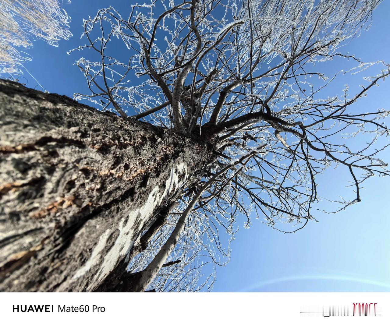 用手机，拍美冬天！

普通人，想要用手机拍出来好看的照片，最简单的方法，就是用一