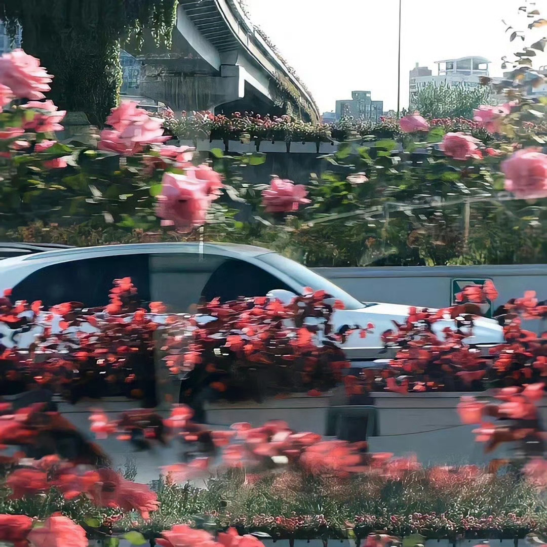 小众𝗪𝗲𝗖𝗵𝗮𝘁背景图 ​​​