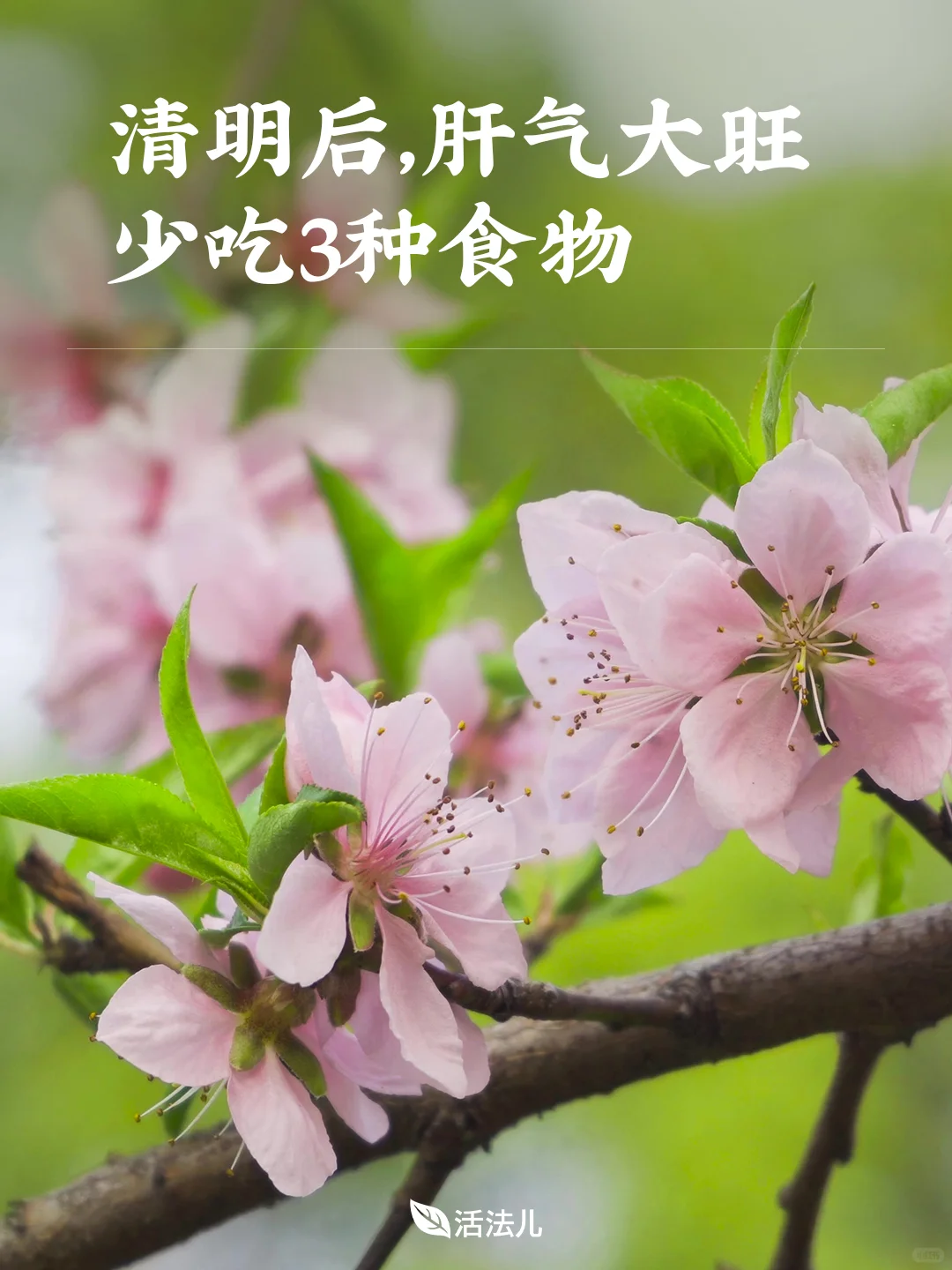 清明后，肝气大旺的30天到了，少吃3种食物