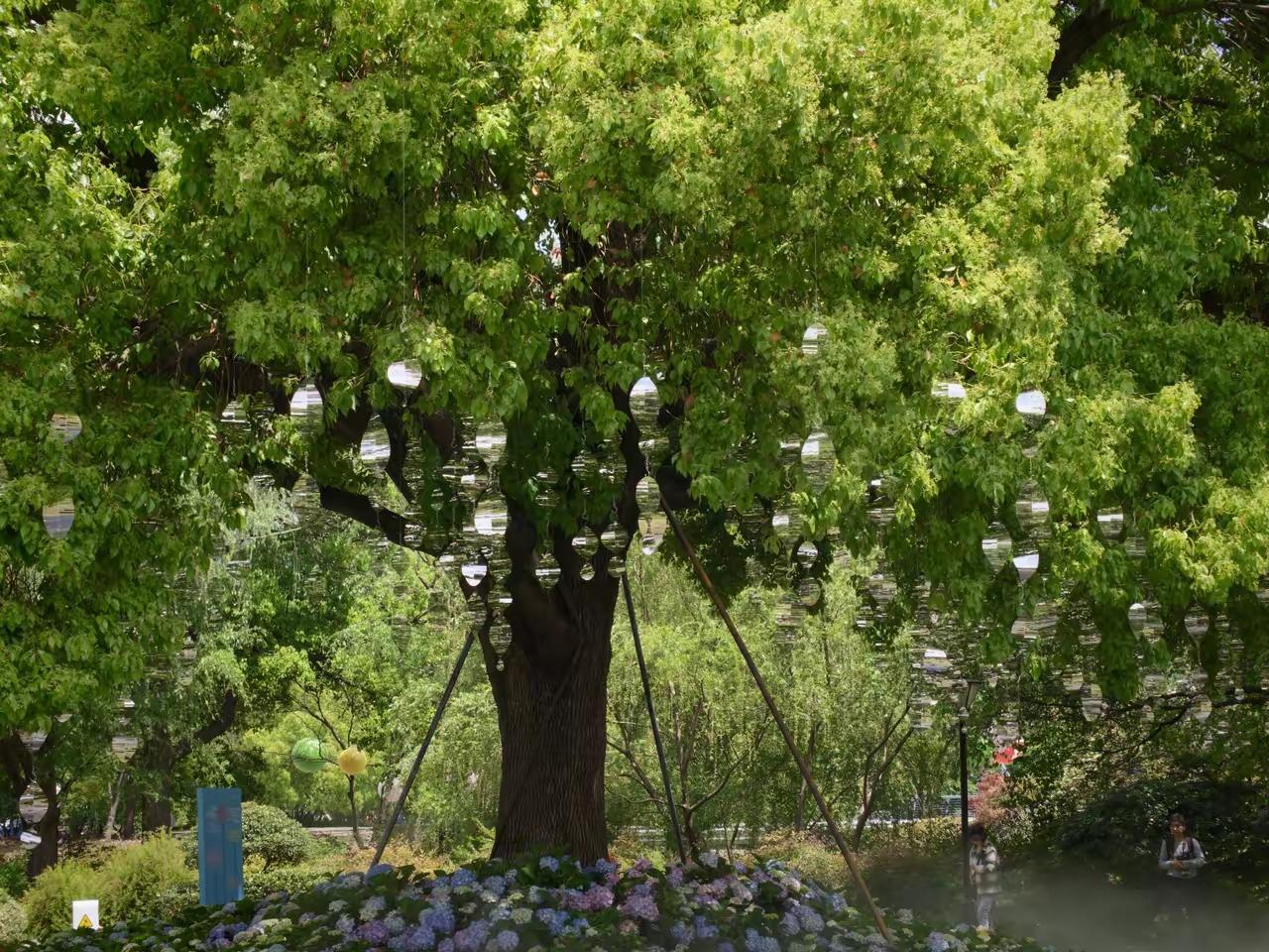 这两天手机里花花草草🌿照片比较多，🈶自己拍的，🈶收藏了人家的…一起来欣赏吧