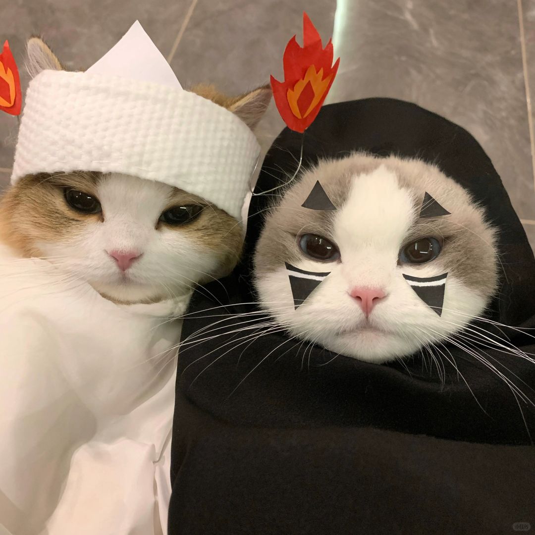 👻万圣节的可爱鬼来喽！