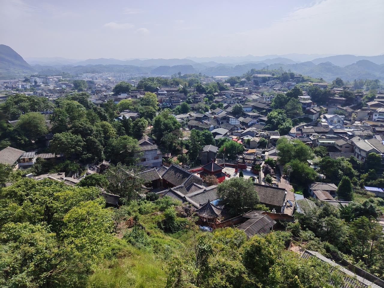 《春泥护根》

老树枯枝，新芽难发。园丁不剪枯枝，反覆厚土于根。旁人讥其迂，他答