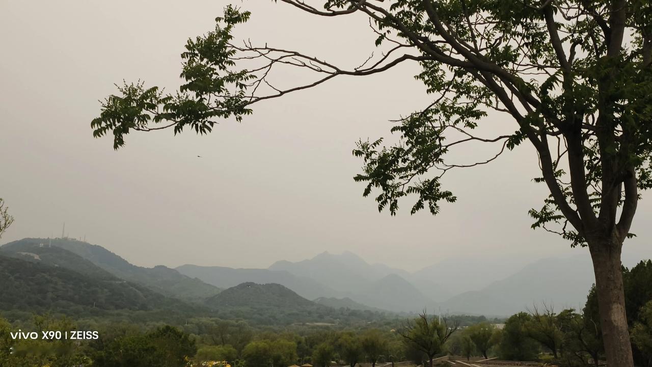 分享一张你最近随拍的照片