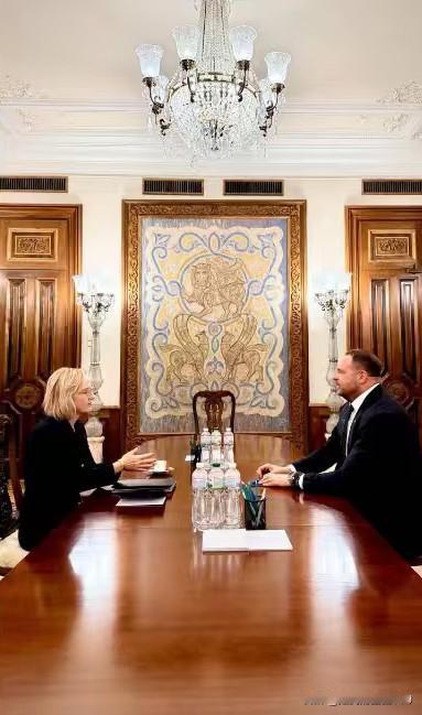 演技堪比电视剧！乌克兰总统办公室主任叶尔马克表示，自己与美国驻乌克兰大使朱莉·戴