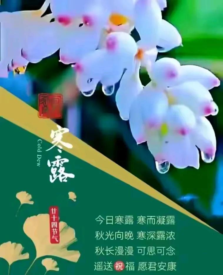#难道只有复杂难懂的字才算佳品吗？#
无言，诸君，清赏图美。。。。