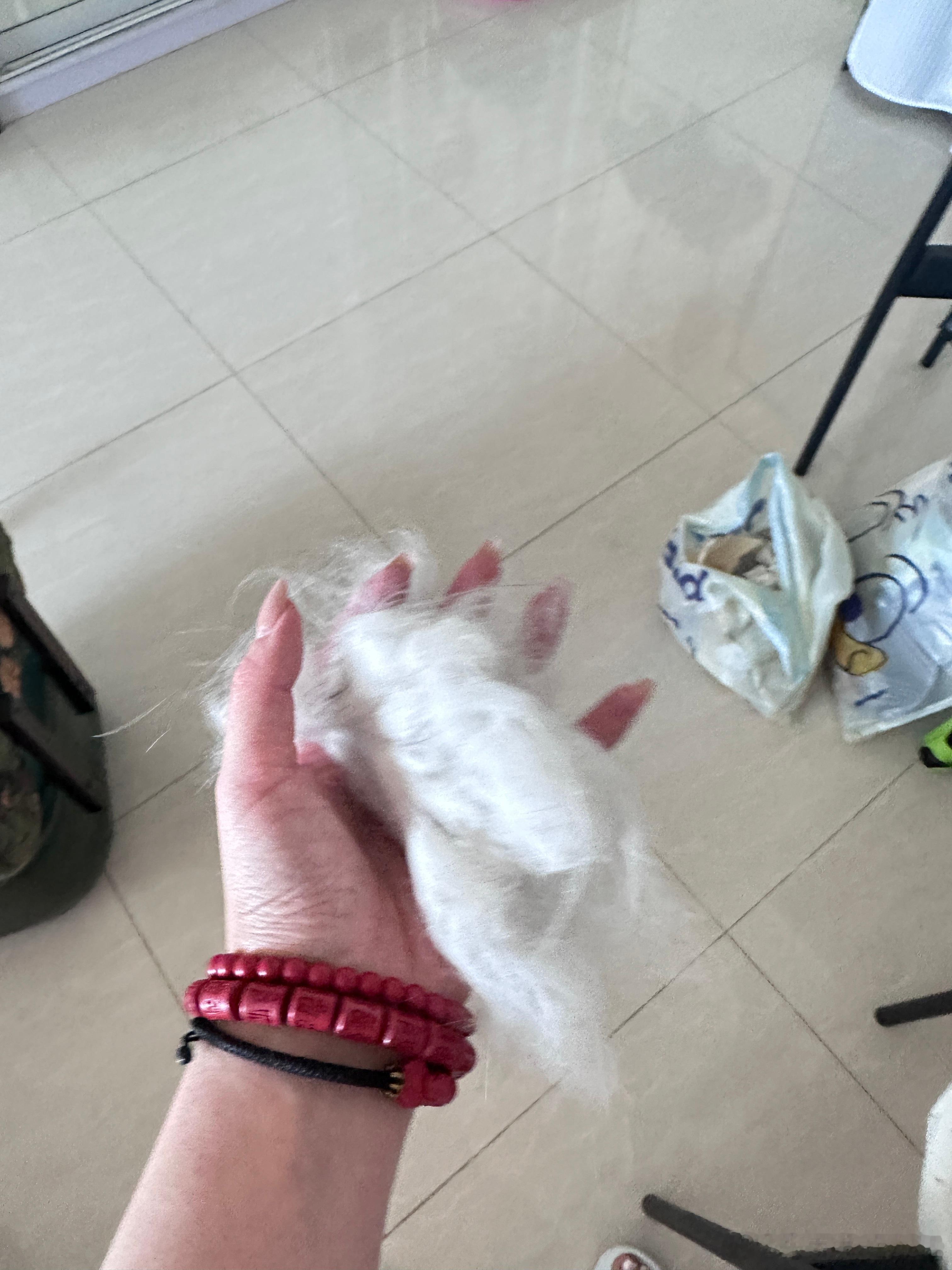 姐姐的爱，虽迟但到