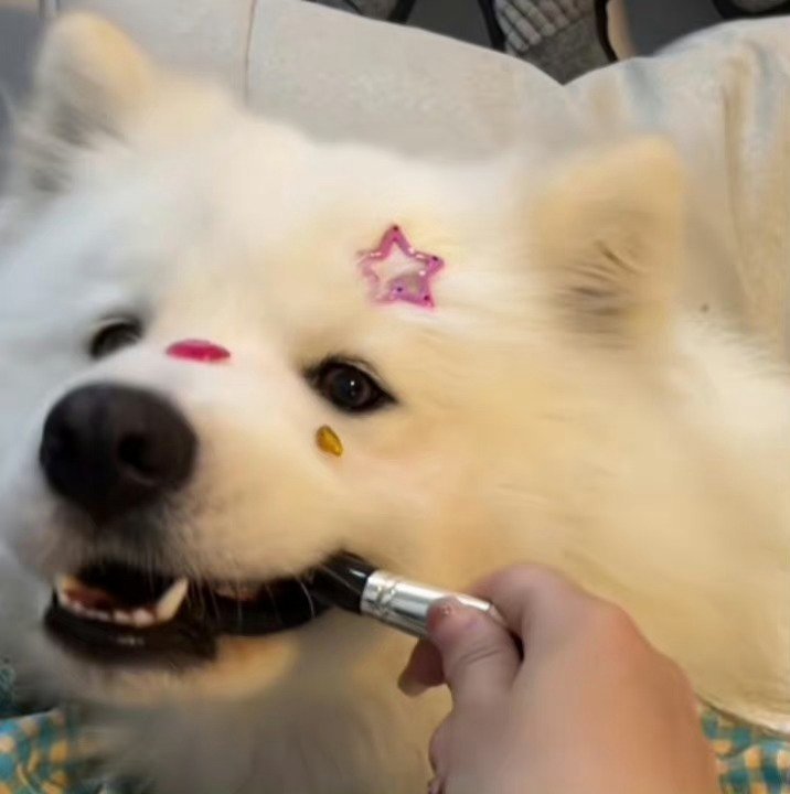 ᵎ(•̀㉨•́)و ̑̑ 熊熊的八月闲置帖八月到啦！这条给姐妹们清清闲置[彩虹屁