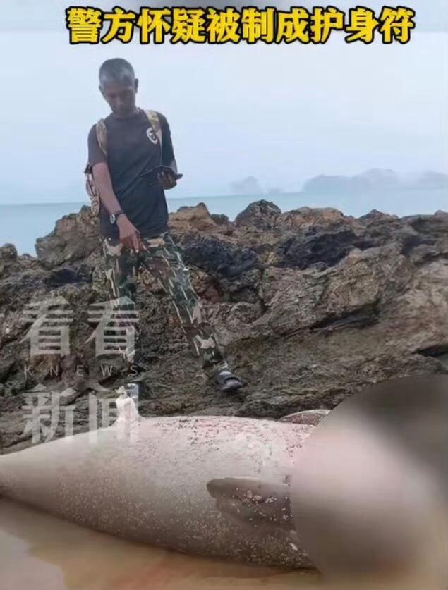 【泰国海岸惊现被斩首美人鱼】绝了！传说中的美人鱼，现实中的濒危保护动物，死后还要