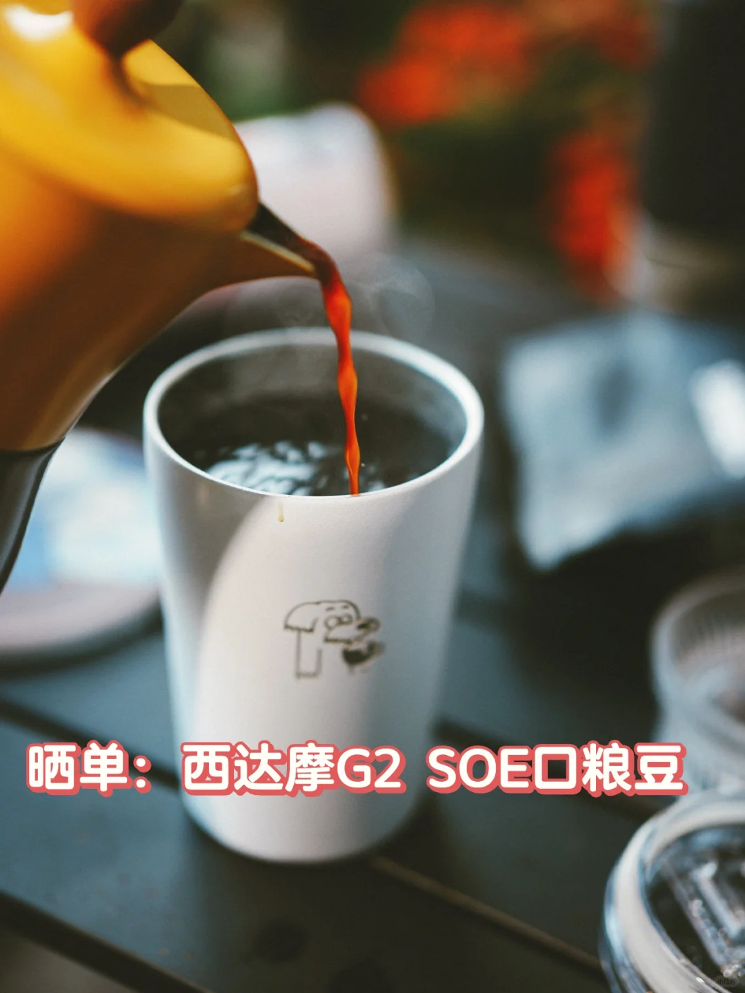 晒单：西达摩G2 SOE口粮豆