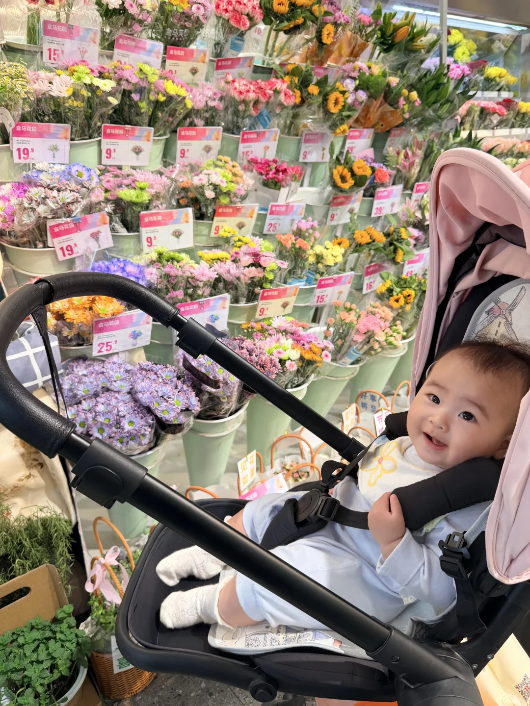 盒马花园这么出片？💐