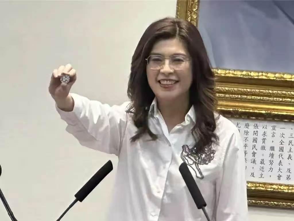郑丽文掏出“大陆”徽章，在国民党中常会直言，台湾的未来在大陆
 
2026年7月