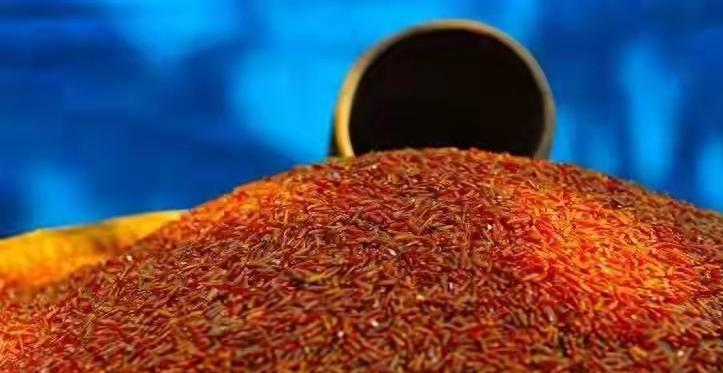 海水稻：别被“难吃”骗了！能把数亿亩“废地”变成“粮田”

谁能想到，被吐槽“吃