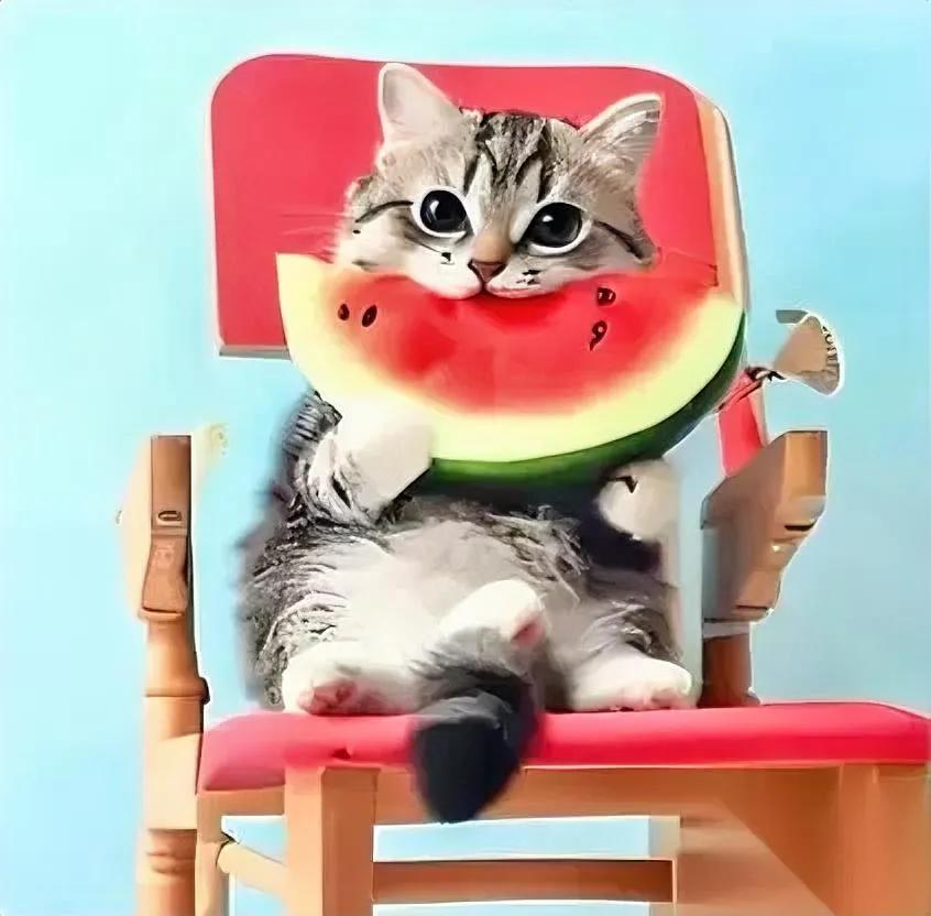 意大利潮妈和大头鹰，这回栽明白了。

不是瓜吃错了，是踩了平台红线——直接被封。