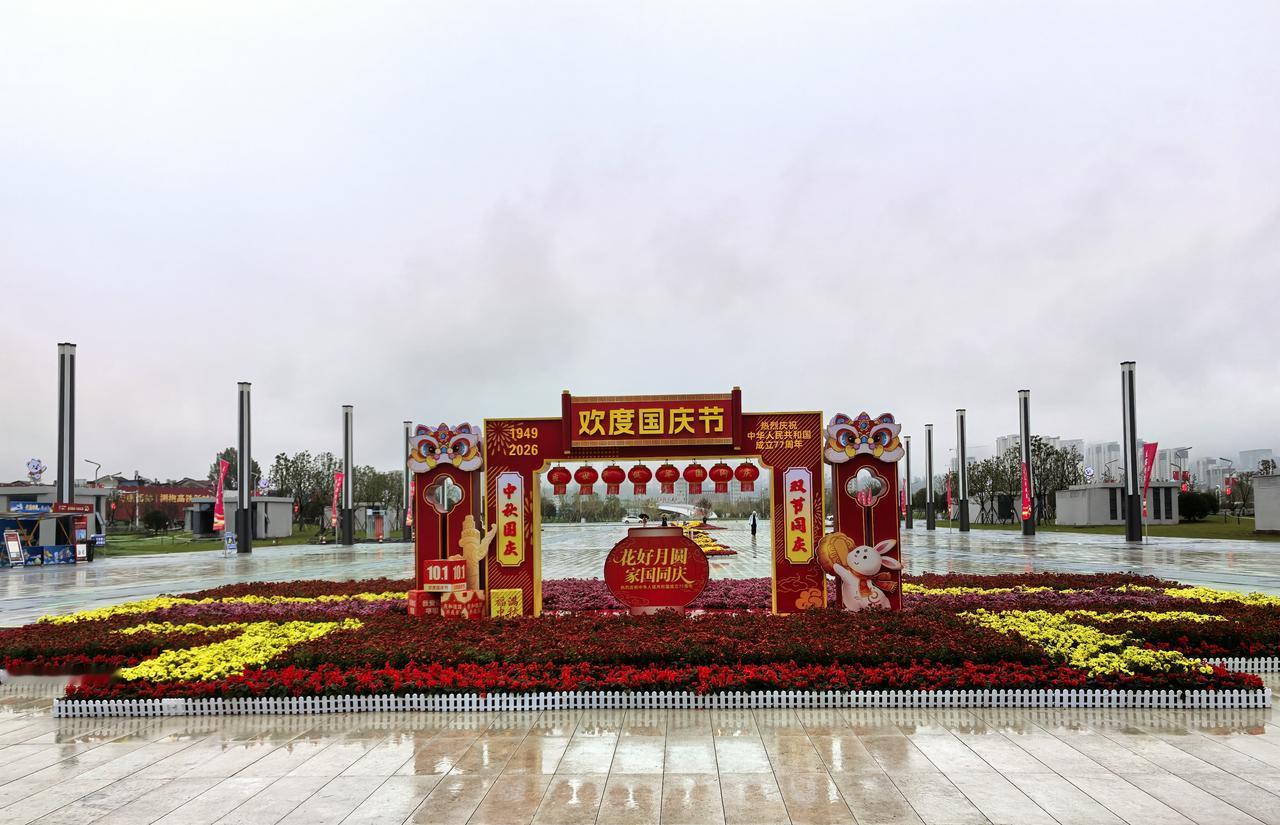 秋日生活打卡季都说一场秋雨一场寒，这连续下了十几天的雨了，温度居然没降下来，稍微