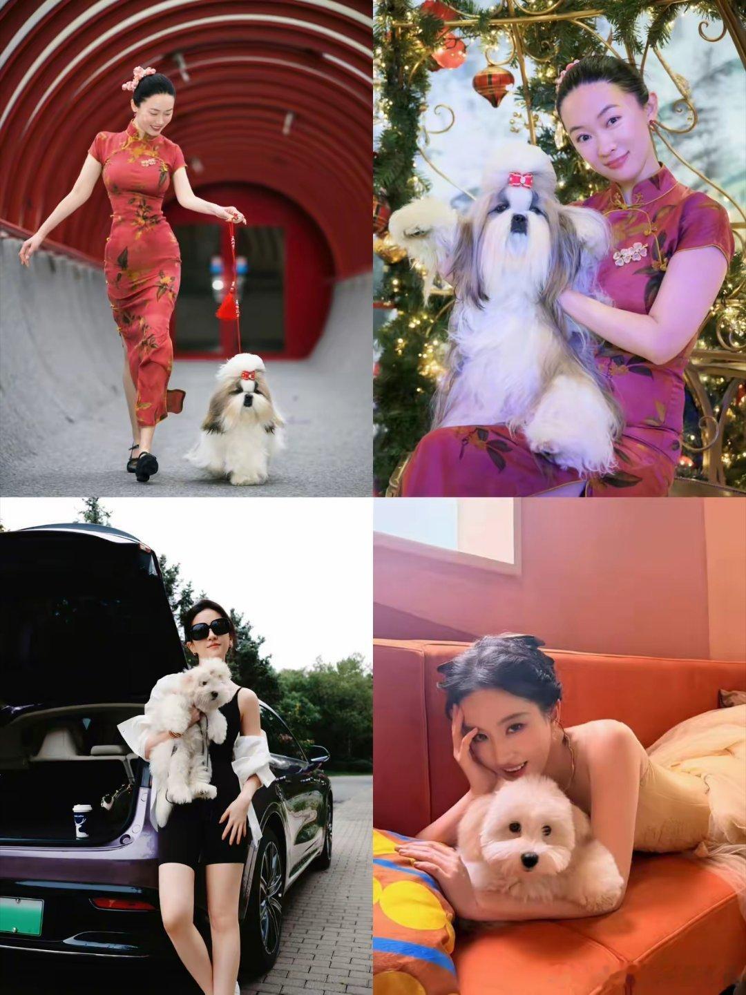 刘亦菲大概是真的会羡慕霍思燕——倒不是羡慕她嫁得好、身材出众，而是羡慕她那只超争