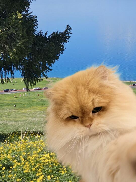 人，咪到赛里木湖了