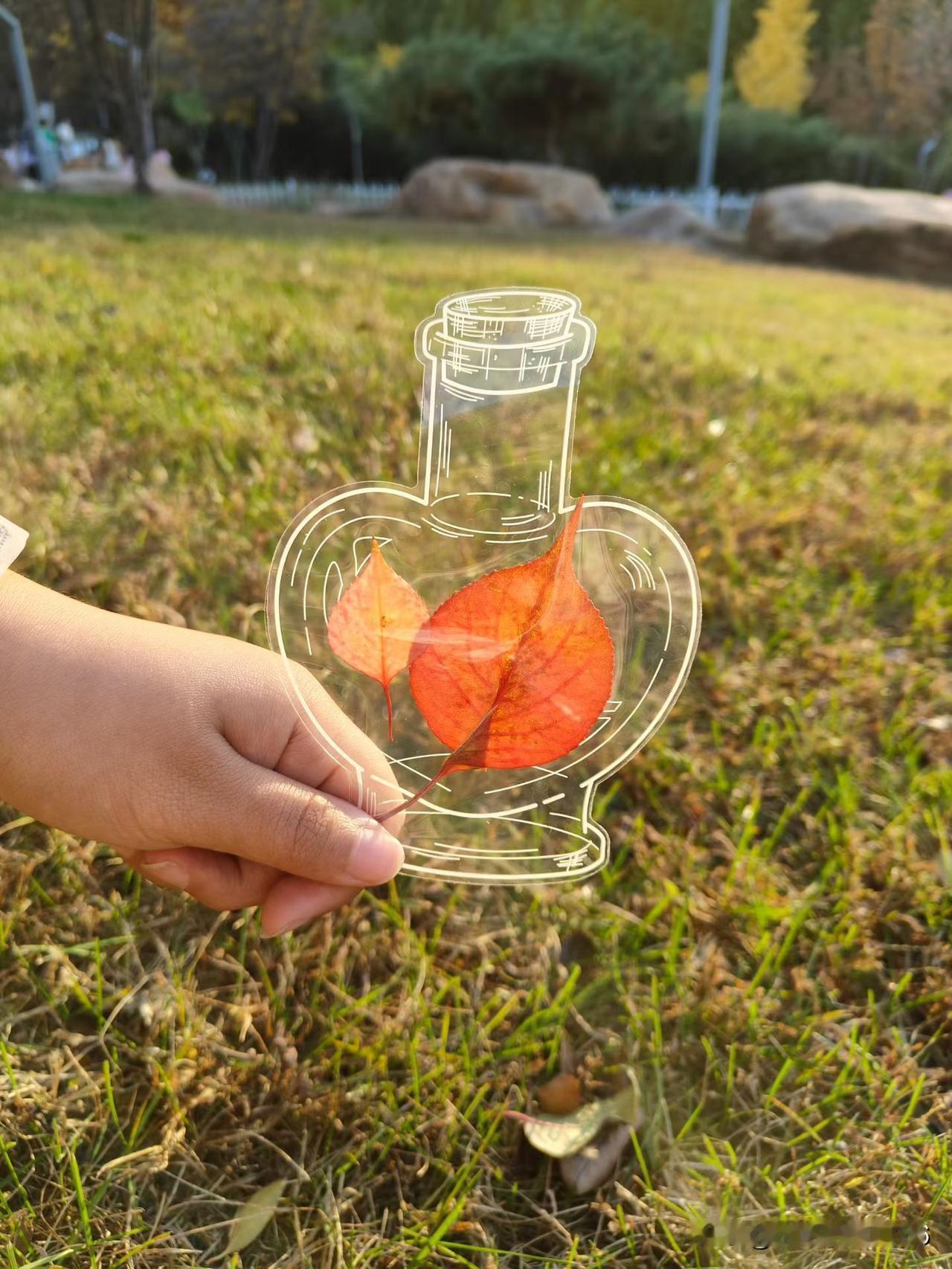 《把秋天装进瓶子里》

我旋开雾气的瓶盖
收集整个暮秋的低语
枫叶以坠落的姿态