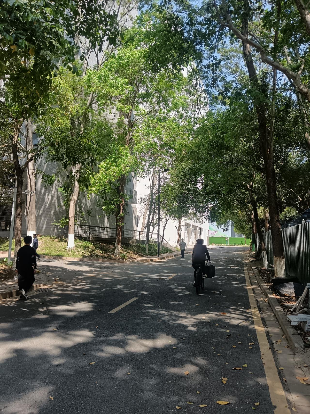 有没有姐妹和我一样，天生高敏感还嘴笨内向
● 别人多看两眼，就纠结穿搭仪态，紧张