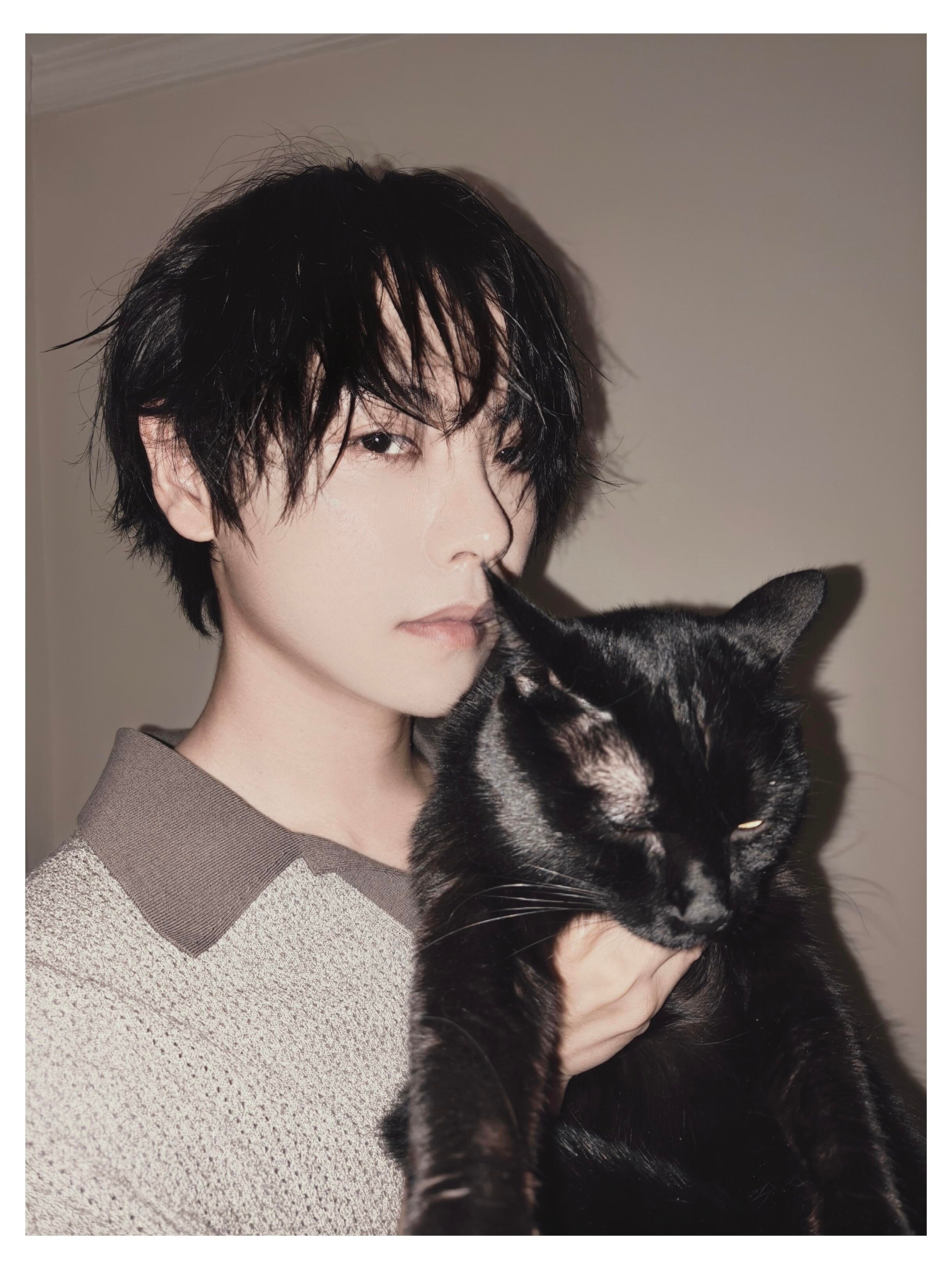 你是一只迷人的小野猫  ｜