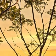 生活手记明天周末了哦 