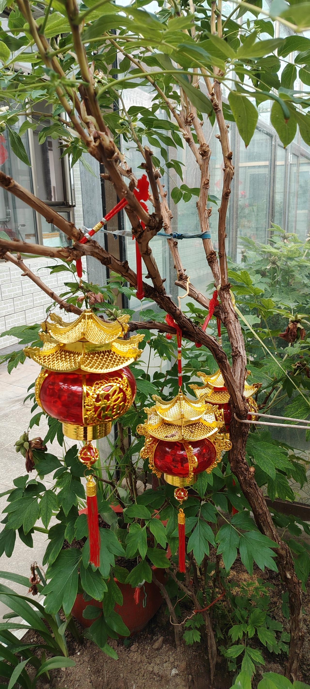 曹咎因不堪辱骂冲动出战，兵败自刎，丢失战略要地。寓意：小不忍则乱大谋，真正的勇敢