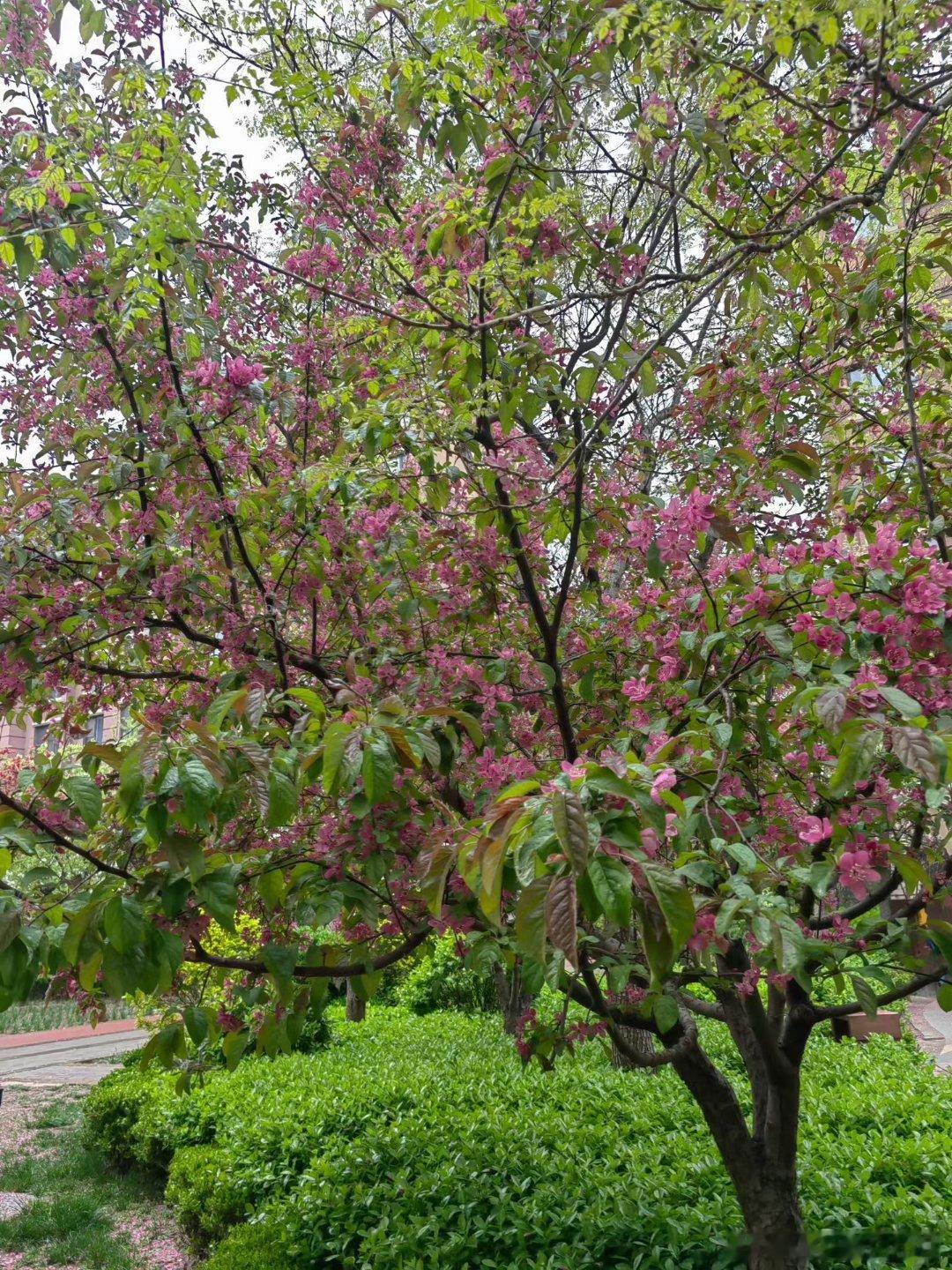 下午出门赶上了下雨，外面还挺凉，又回家穿件外套