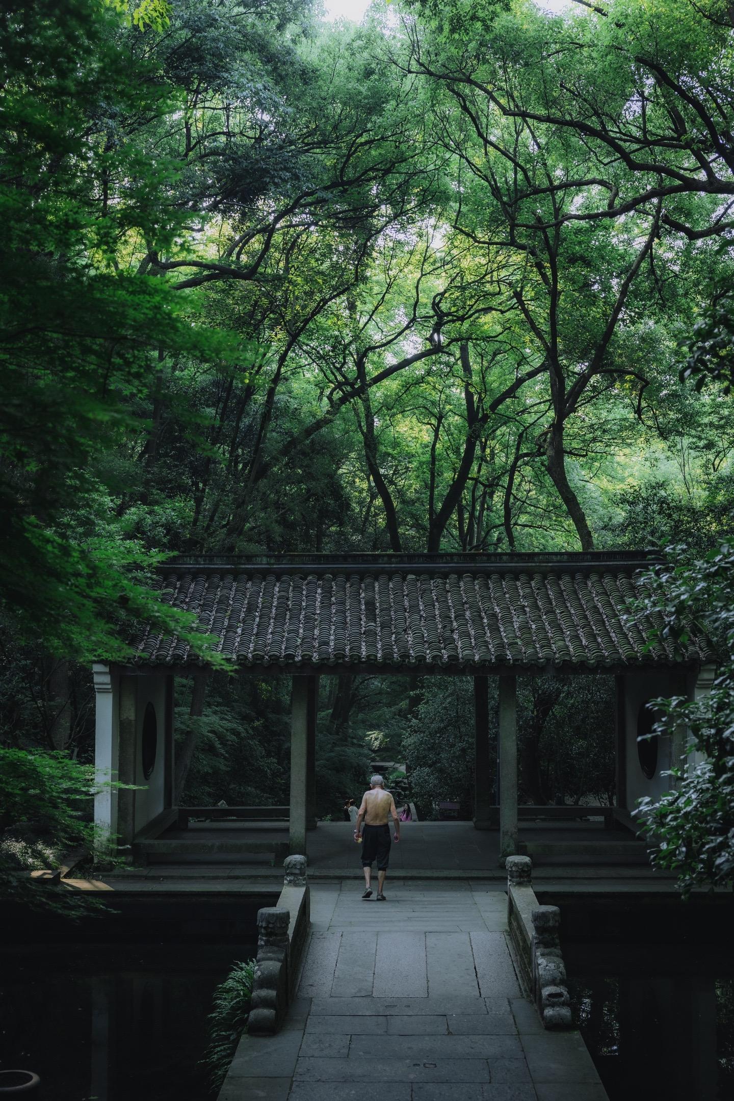 虎跑公园 | 总要寻一寻这片绿野迷踪吧！虎跑公园作为我最喜欢的西湖景点...