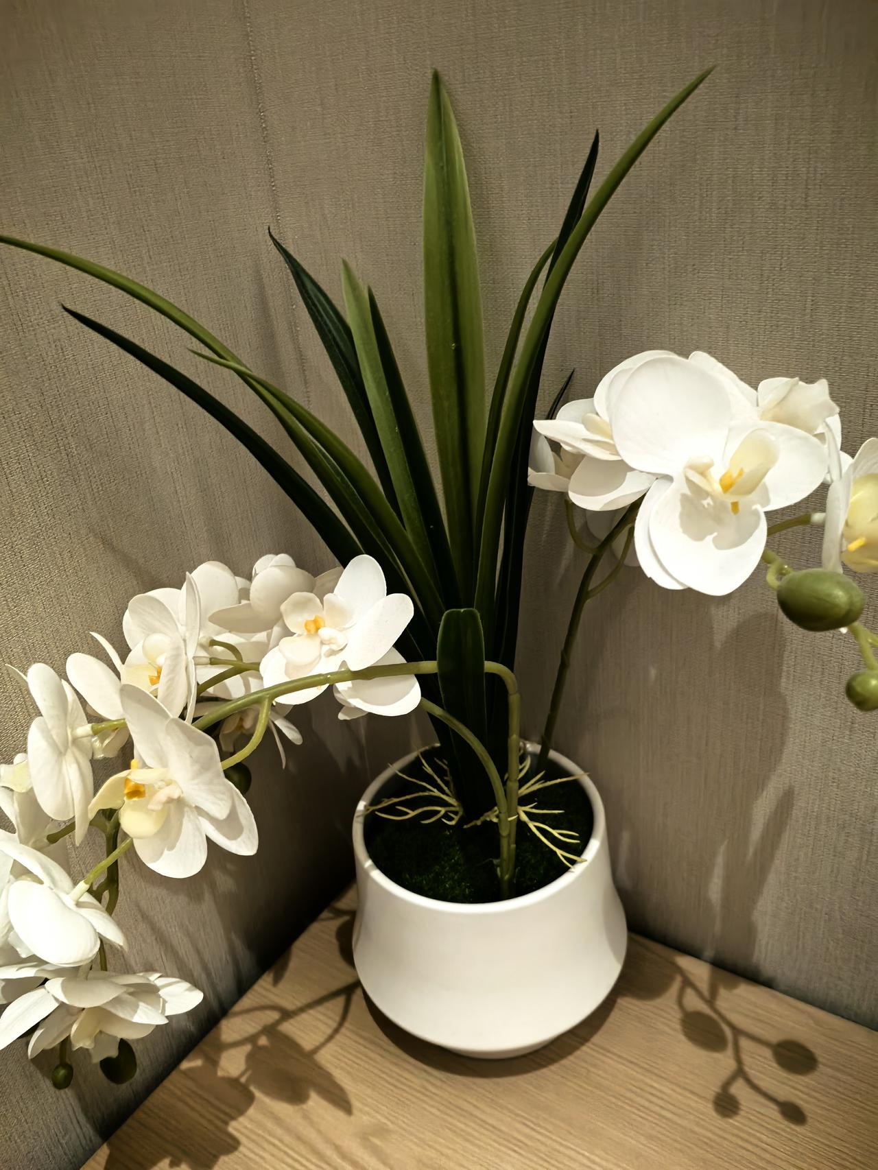 今天，看到一位老教师退休的留言如下：尊敬的各位领导、同事们：相伴多年，很感谢对我