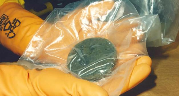 根据日本原子能委员会 2024 年官方报告与国际原子能机构备案数据，日本持有的分