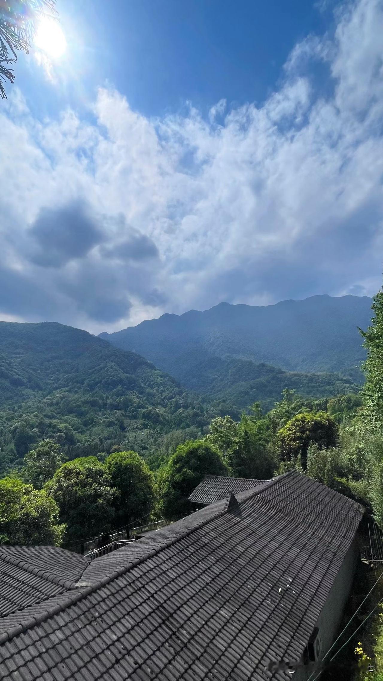 不知道为什么，我经常做梦都会梦到蛇。昨晚又梦见蛇了，地点在老家。

奇怪的是，不