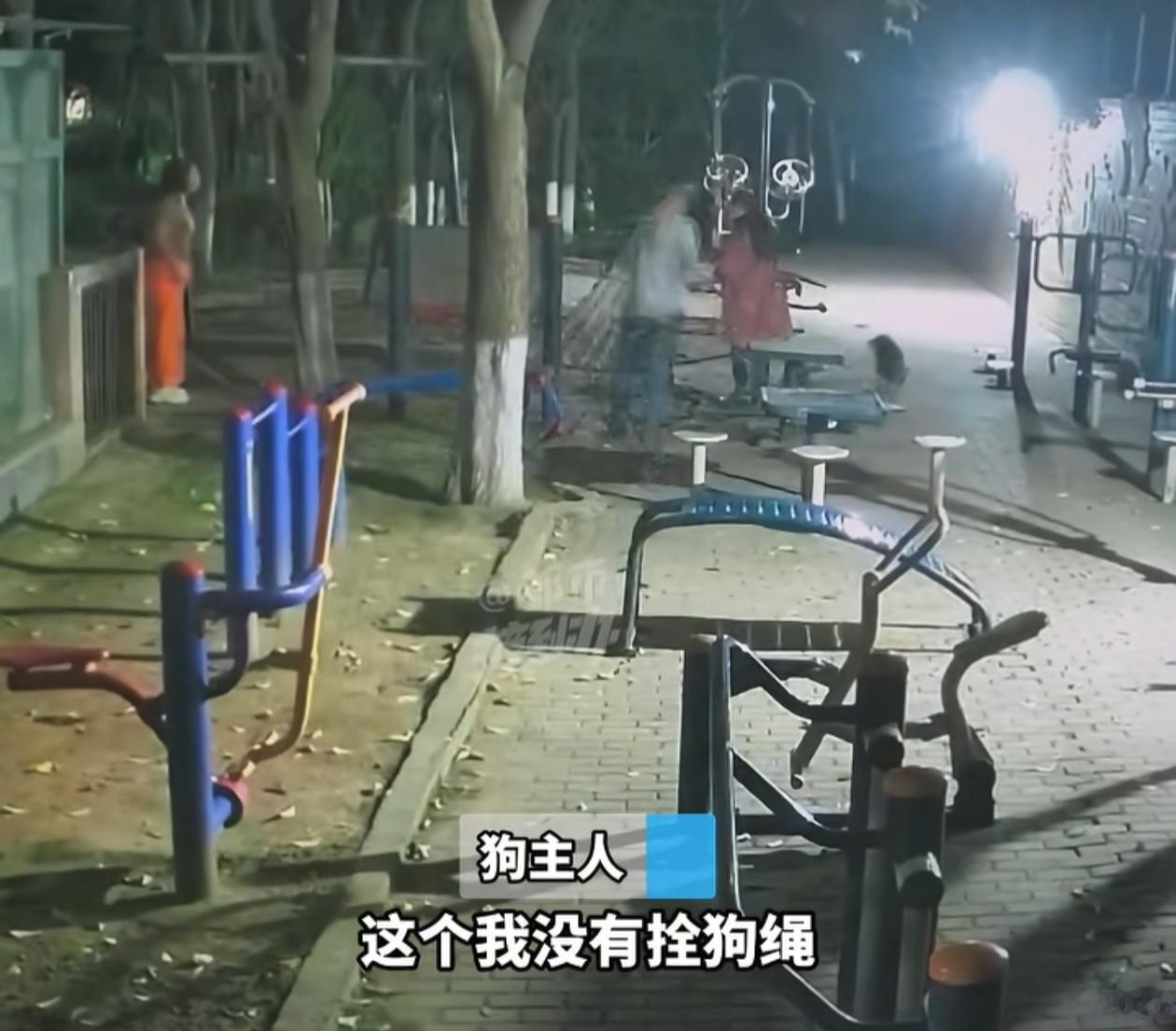 2026年4月18日23时许，郑州市一小区内发生宠物犬伤人事件。方先生夫妇在小区