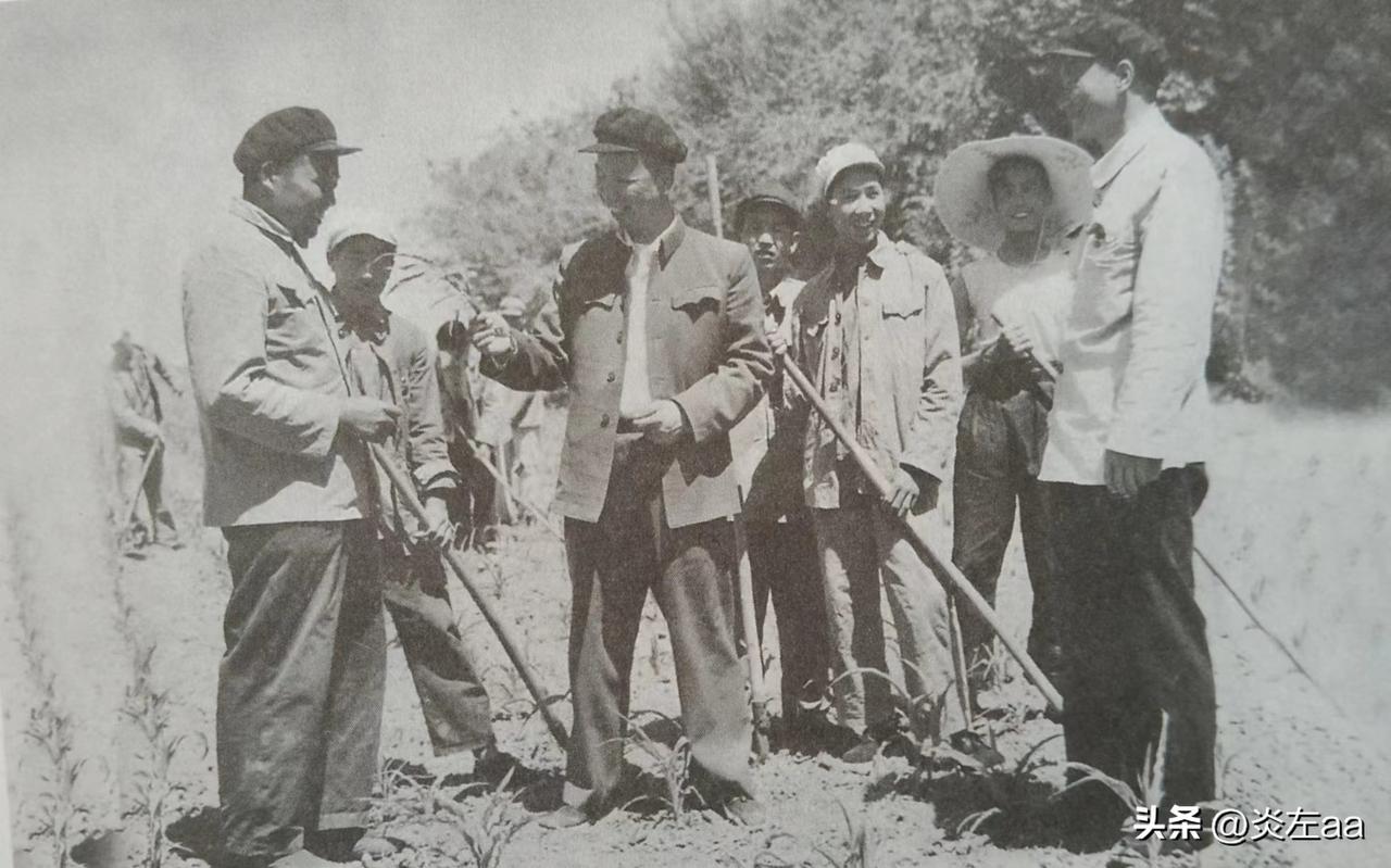 1959年，在陇海铁路郑州段锈迹斑斑的铁轨旁，一群裹着破棉袄的饥民正疯狂敲击着货