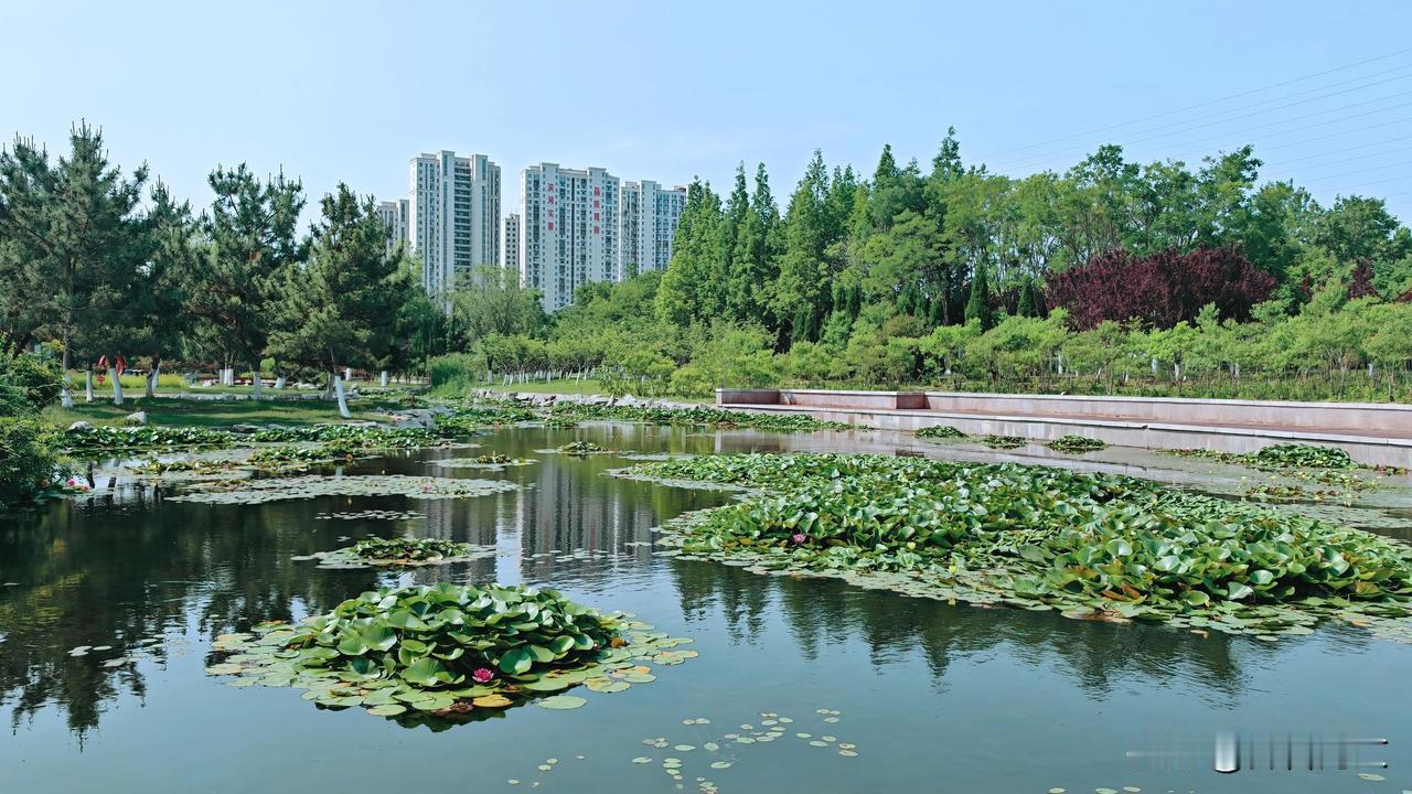 景色宜人的河景房，尽显小城的魅力。