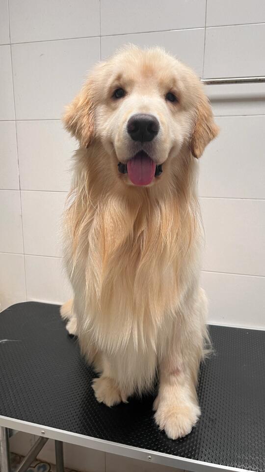洗了三小时，有点费主人