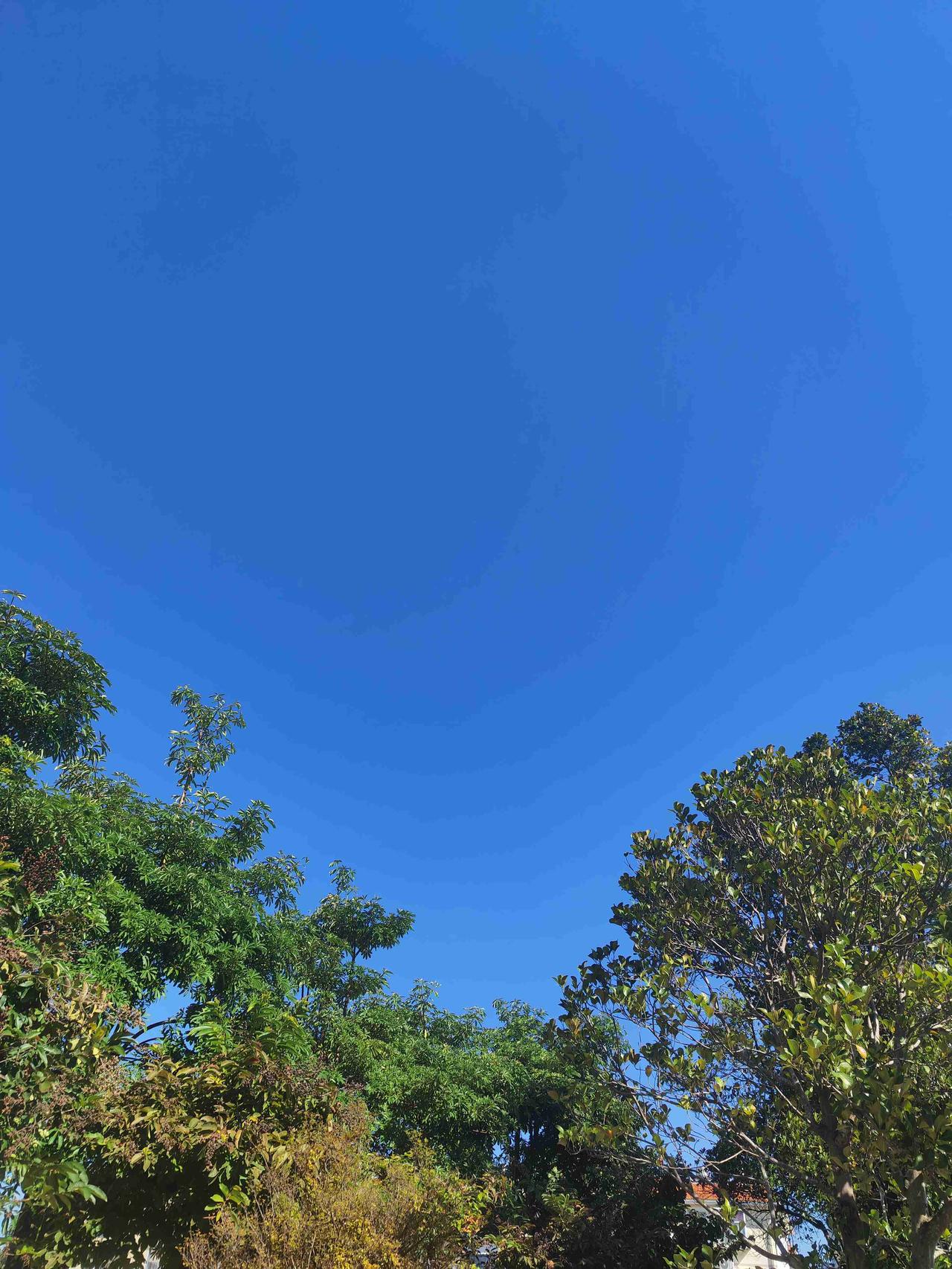 我的今日状态：😁轻松愉快
我这里的天气：☀️晴天