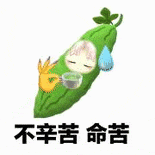 周五下午弹性离岗周五能提前走的政策给谁设的啊，真的狠狠羡慕住了！能不能叫教师也享