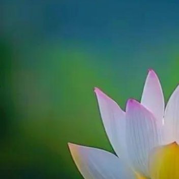 正能量[超话]正能量 人生苦短，生活不易，一定要学会以乐观向上、知足是福、从容淡