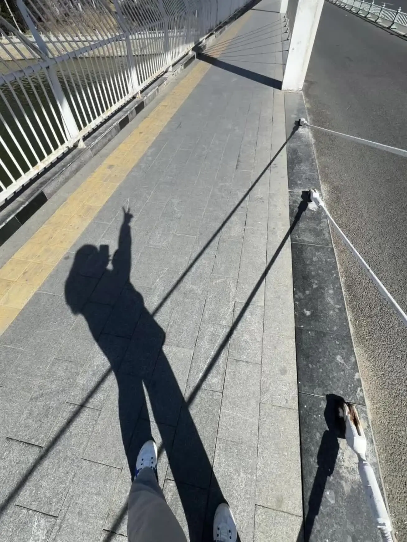 春天的温柔扑面而来