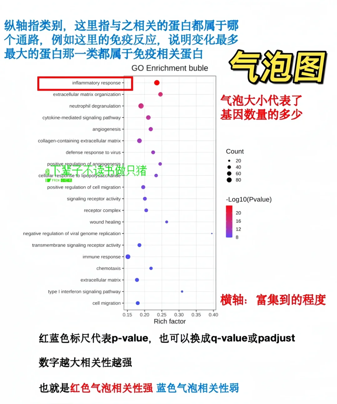 ⚠️RNA测序就看这篇！（样本要求➕结果分析）