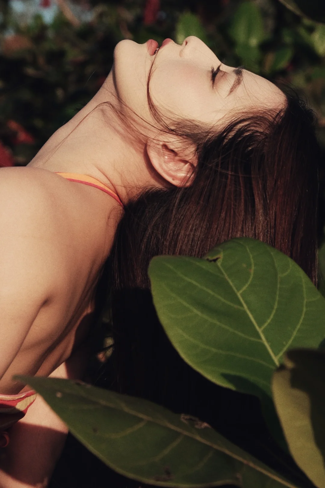 三亚｜好想去热带