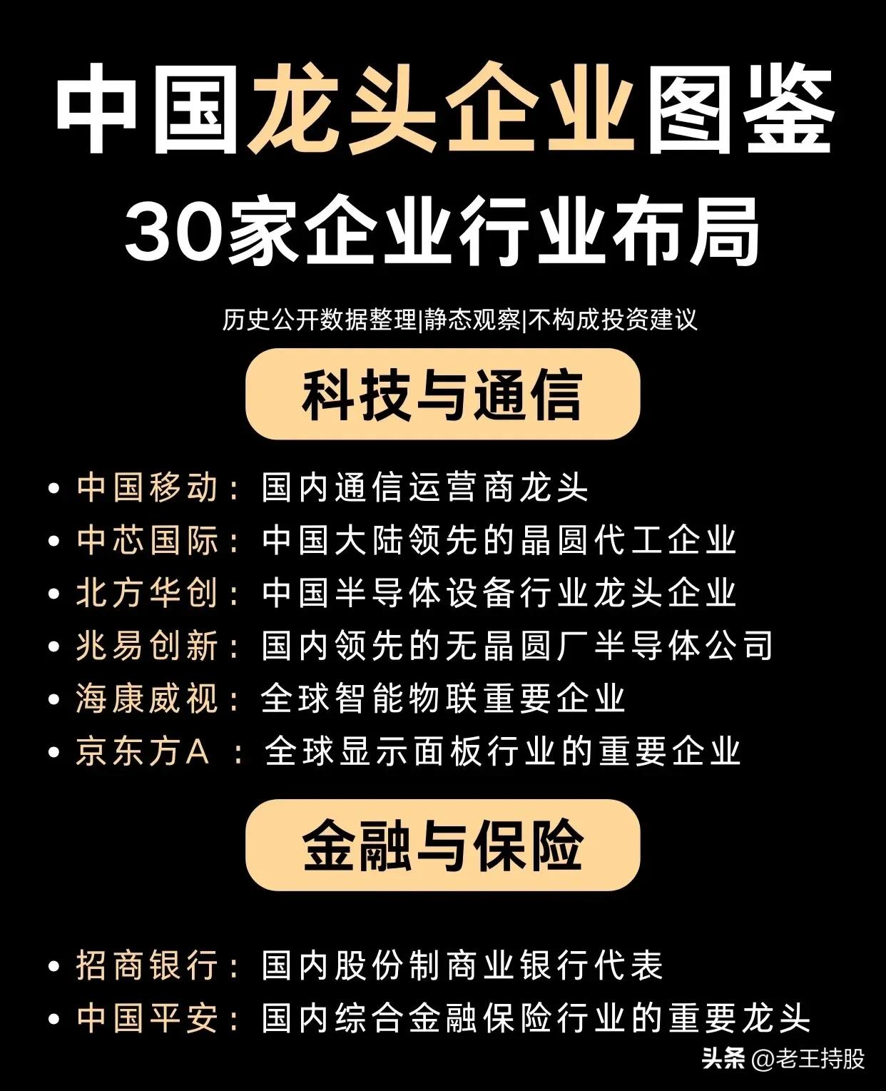 🇨🇳【中国龙头企业图鉴】30家核心公司行业布局一览！

梳理了科技、新能源、