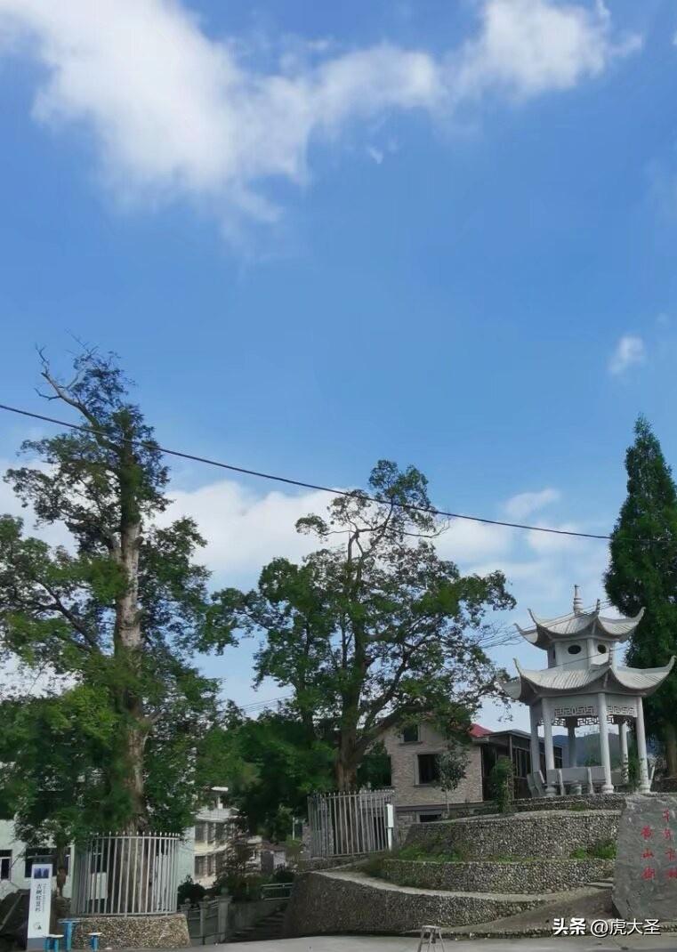现在的新农村那可真是大变样，就说那种把红豆杉、凉亭、别墅融为一体的新农村，风景美
