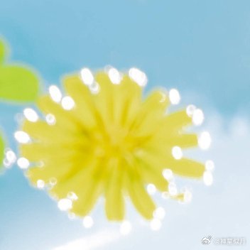 阳光信用[超话] [太阳]阳光信用 [太阳]每日一善 学习向日葵，做一个积极吸收