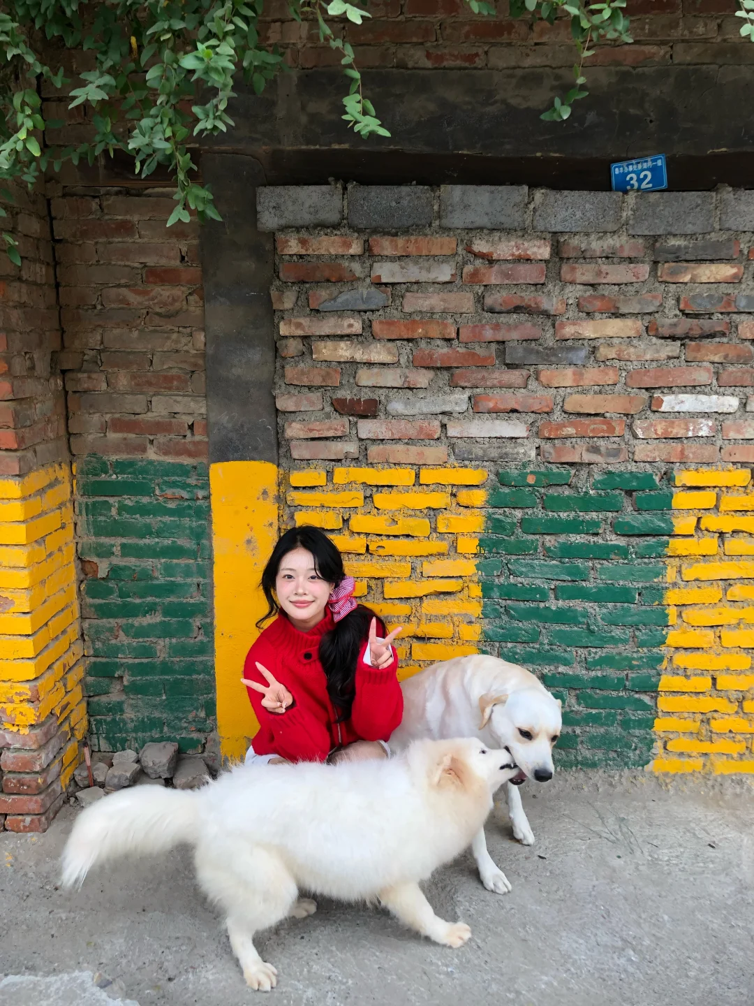 生活感随拍日记🐶🐈