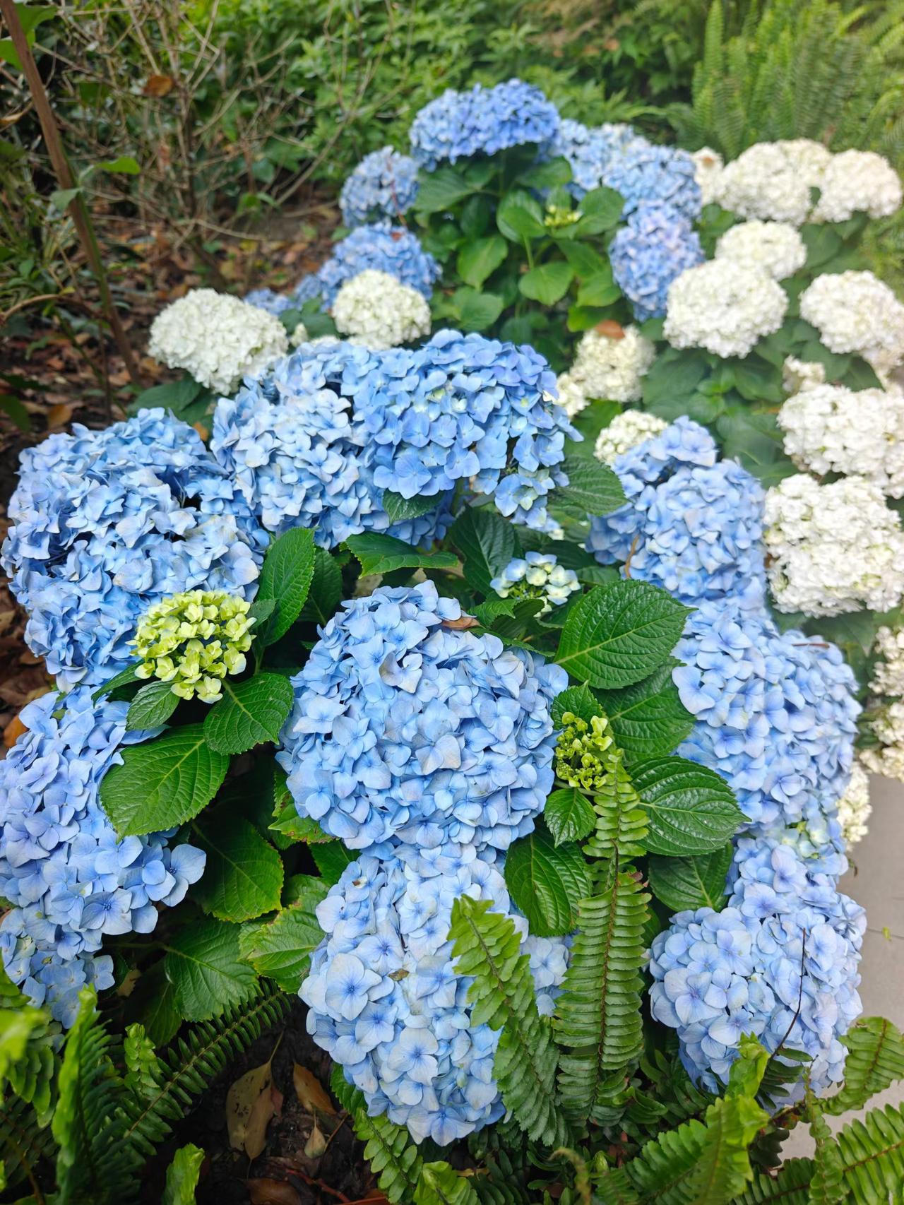 特大喜讯，专家公布数据，只差135美元！人均GDP13959美元，明年中国 昂首